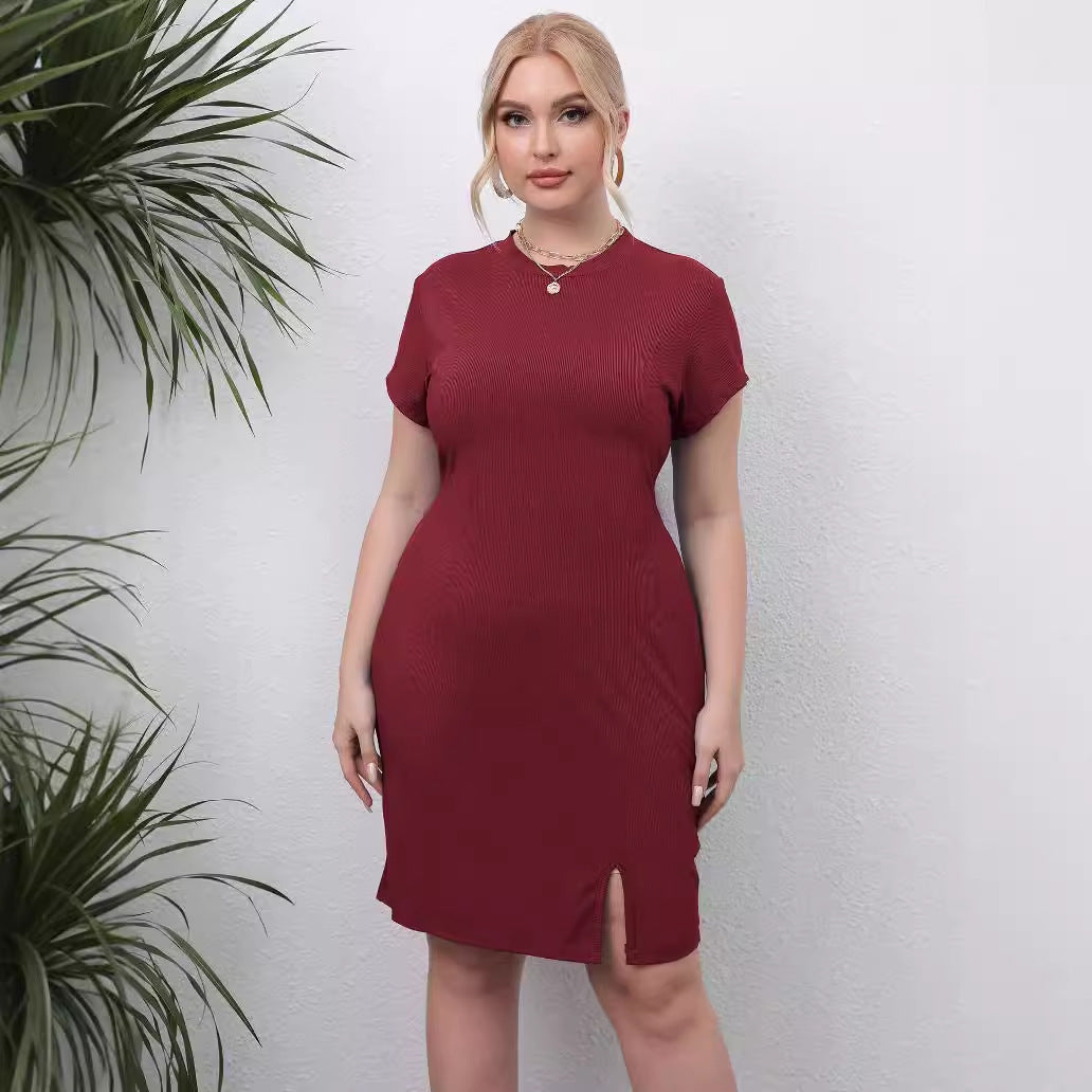 Women's Sheath Casual Round Neck Short Sleeves Slim Fit Dress