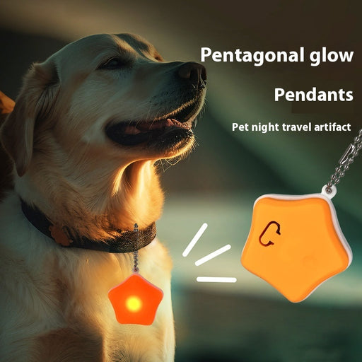 Pet Rechargeable Pendant Dog Cat Night Anti-lost Dog Walking Light