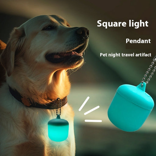 Pet Light-emitting Pendant Night Dog Anti-lost