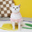 Pet Cat Clothes Fleece Sweatshirt