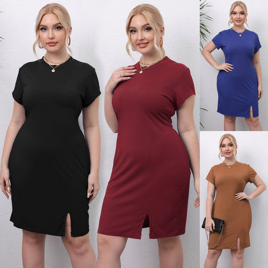 Women's Sheath Casual Round Neck Short Sleeves Slim Fit Dress